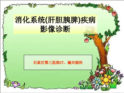 消化系统疾病的影像诊断(珍藏版)