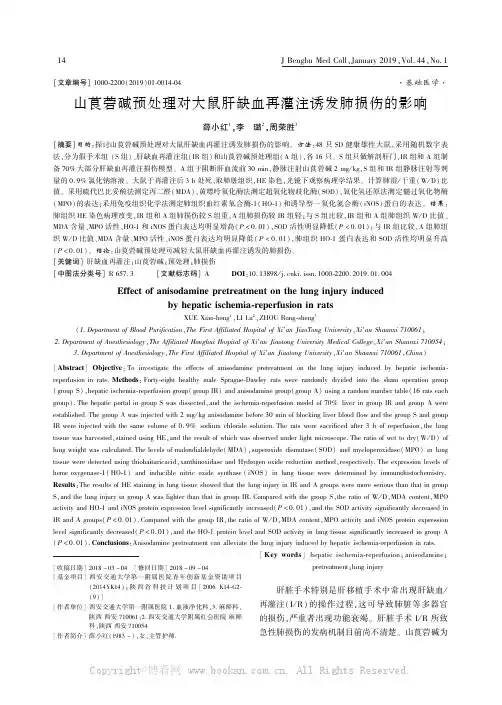 山莨菪碱预处理对大鼠肝缺血再灌注诱发肺损伤的影响
