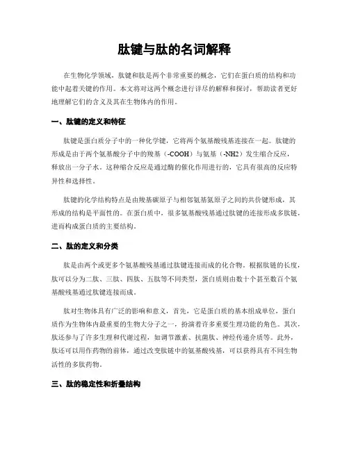 肽键与肽的名词解释