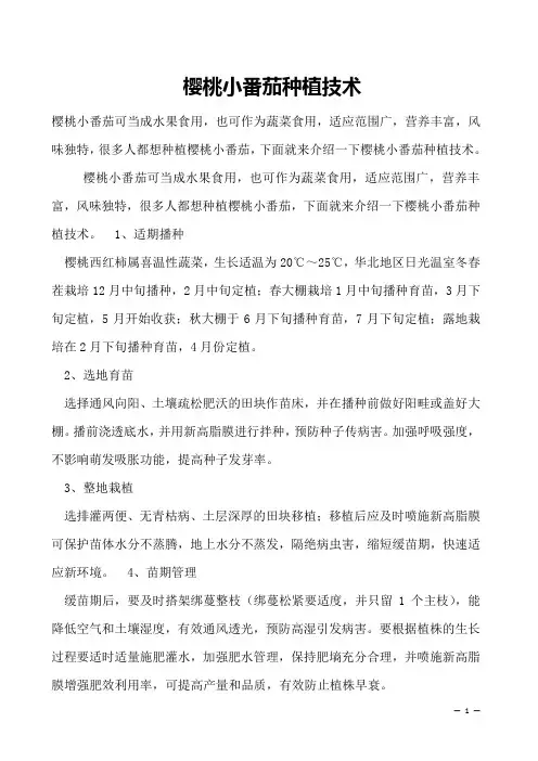 樱桃小番茄种植技术