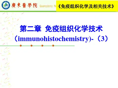 免疫组织化学技术-精品医学课件 (2)