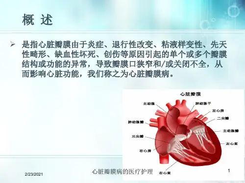 心脏瓣膜病的医疗护理课件