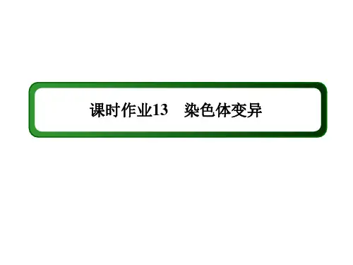 新教材2020-2021学年生物人教版(2019)必修2课件：课时作业 5-2 染色体变异