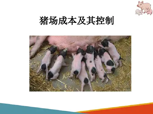 猪场经营管理岗位技能—猪场成本及其控制