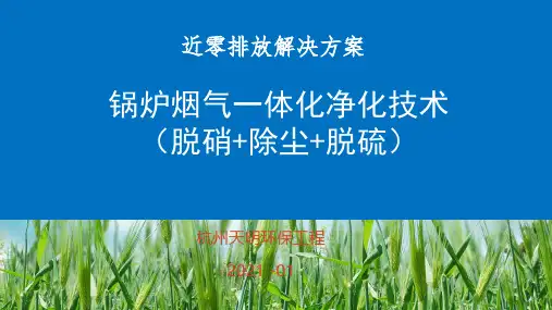 锅炉烟气一体化净化技术PPT