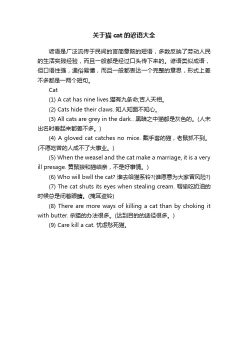 关于猫cat的谚语大全