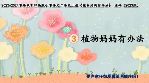 3 植物妈妈有办法(生字讲解)课件(共15张PPT)