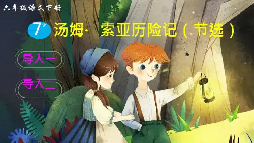 32_(部编版)统编版六年级语文下册第7课《汤姆·索亚历险记(节选)》精美ppt课件