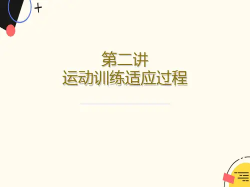 运动训练适应过程