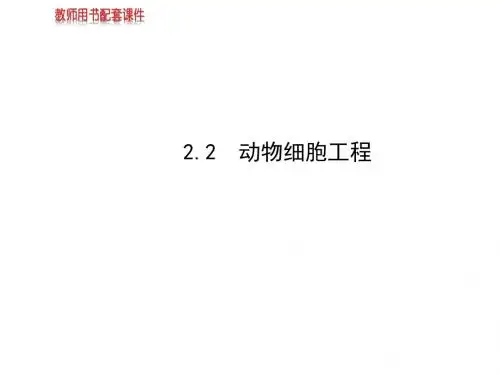 高中生物课件：选修3 专题2 2.2动物细胞工程