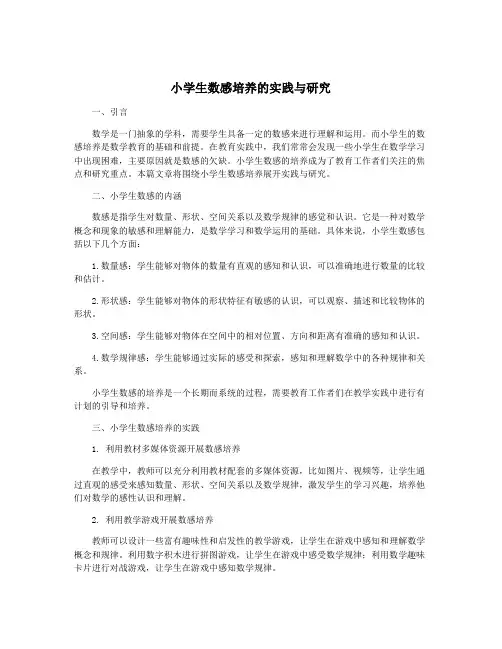 小学生数感培养的实践与研究