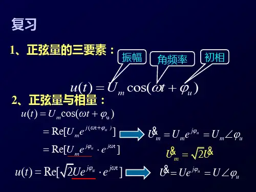 电路定律的向量形式资料