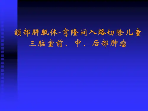 胼胝体入路1