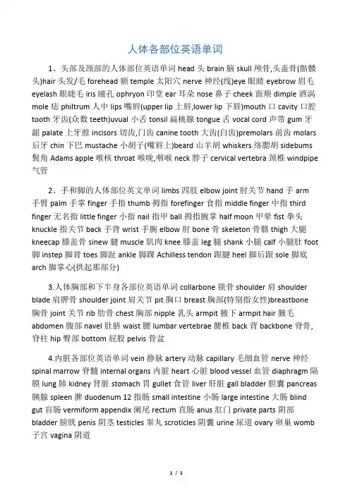 人体各部位英语单词