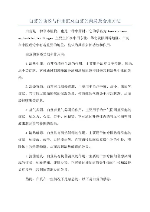 白芨的功效与作用汇总白芨的禁忌及食用方法
