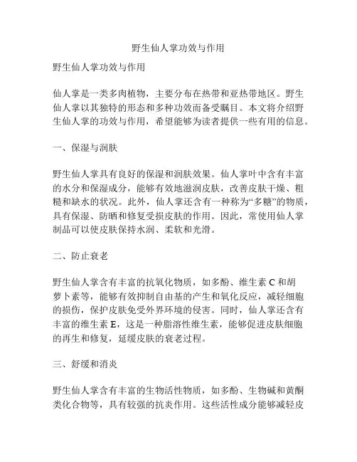 野生仙人掌功效与作用