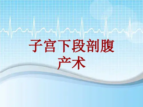 外科手术教学资料：子宫下段剖腹产术讲解模板