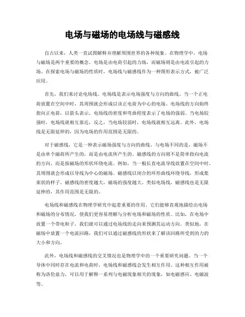 电场与磁场的电场线与磁感线