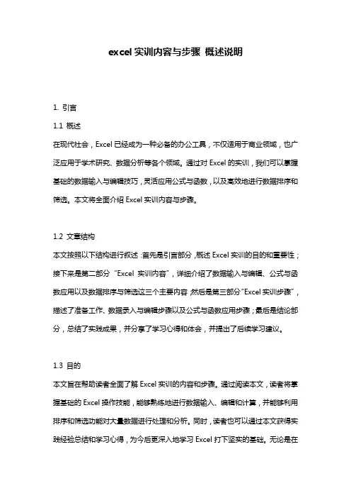excel实训内容与步骤_概述说明