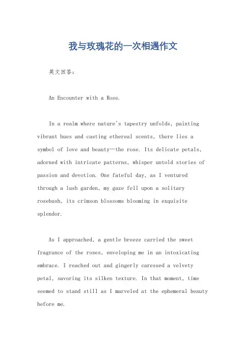 我与玫瑰花的一次相遇作文
