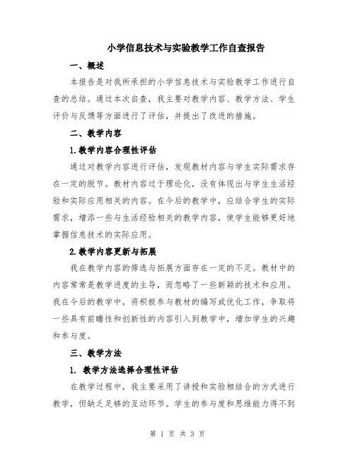 小学信息技术与实验教学工作自查报告