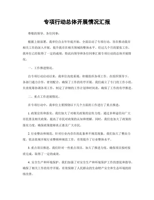 专项行动总体开展情况汇报