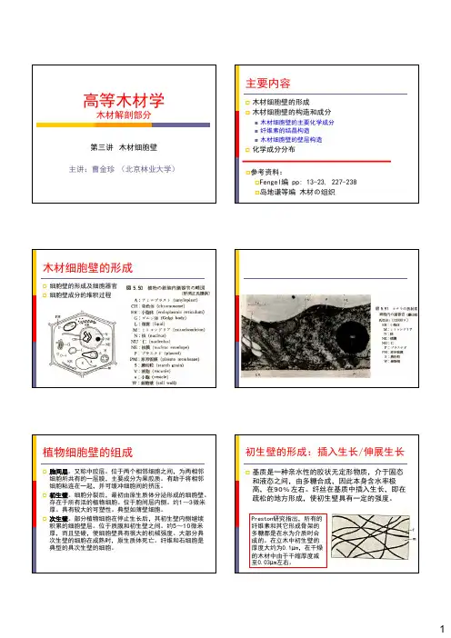木材细胞壁