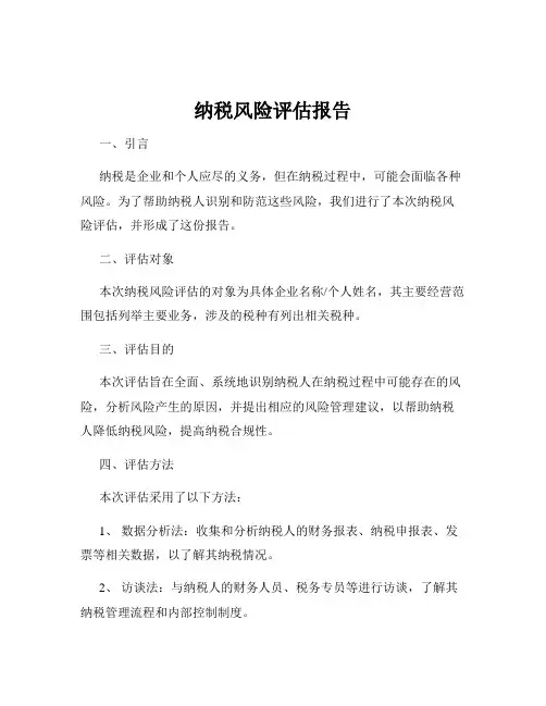 纳税风险评估报告