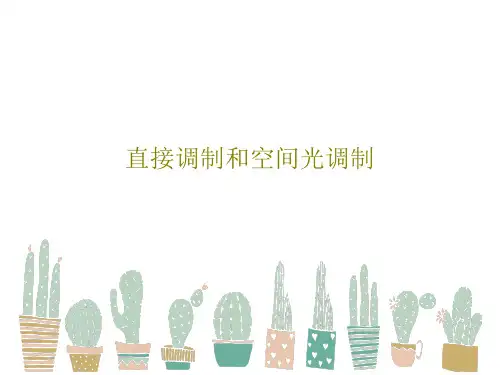 直接调制和空间光调制27页PPT