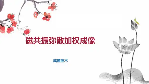 磁共振弥散加权成像