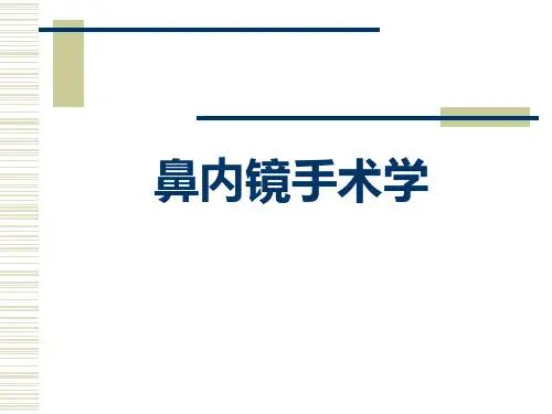 鼻内镜手术学课件