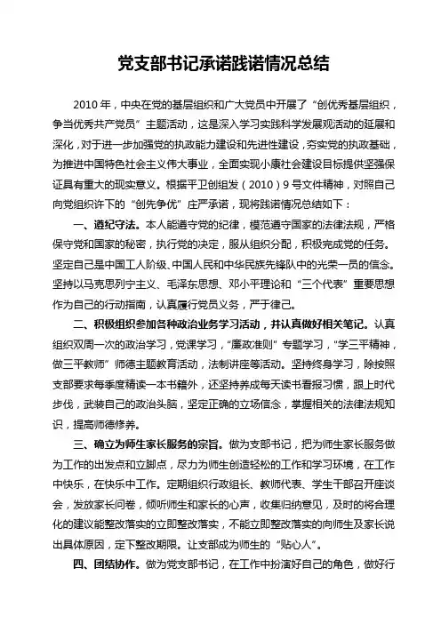 党支部书记承诺践诺情况总结