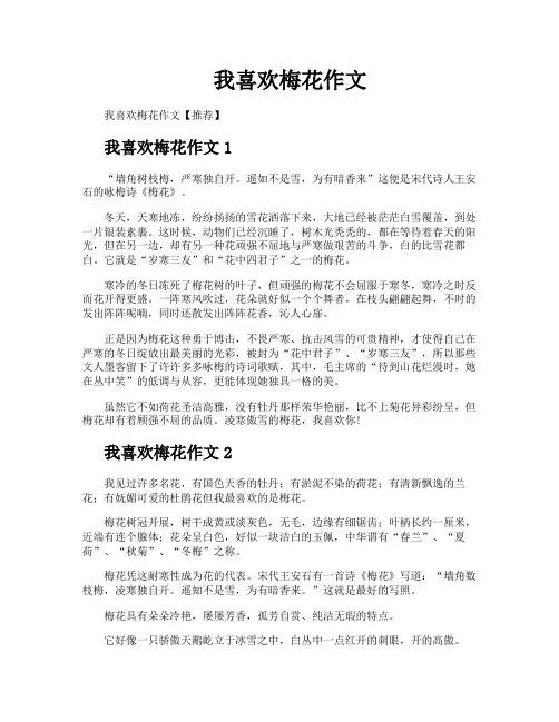 我喜欢梅花作文