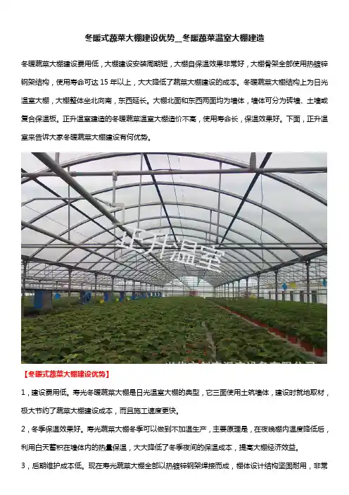 冬暖式蔬菜大棚建设优势__冬暖蔬菜温室大棚建造