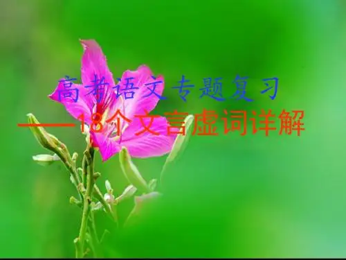 高考18个文言虚词详解