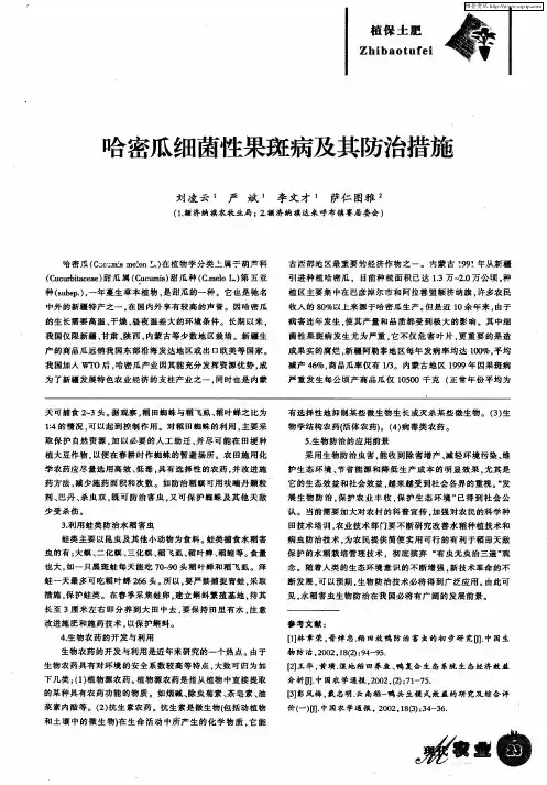 哈密瓜细菌性果斑病及其防治措施