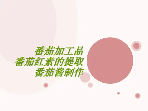 番茄红素的提取与番茄酱制作