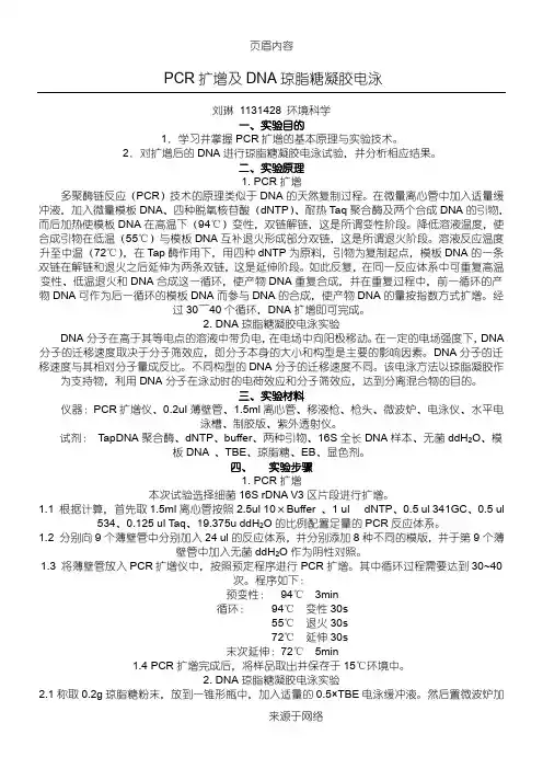 DNA提取及PCR扩增实验报告