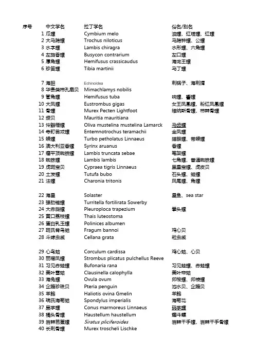 螺的分类