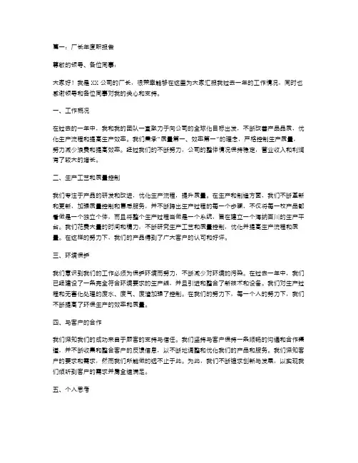 厂长年度述职报告范文