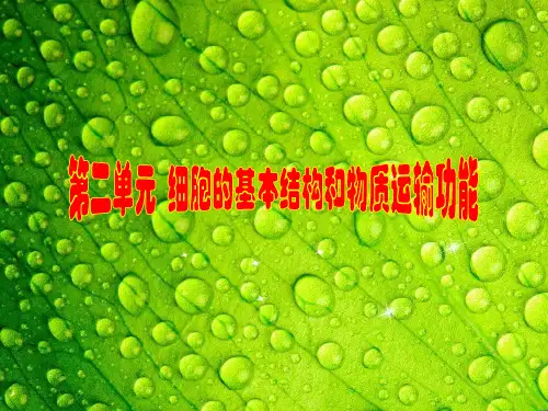 2019生物大一轮复习讲义第二单元第5讲