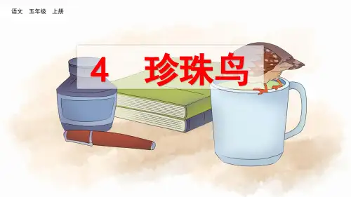 统编版五年级语文上册第4课《珍珠鸟》优质课件(共75张PPT)
