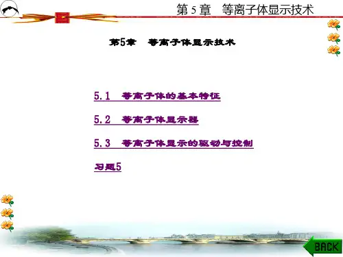 精品文档-显示技术(肖运红)-第5章