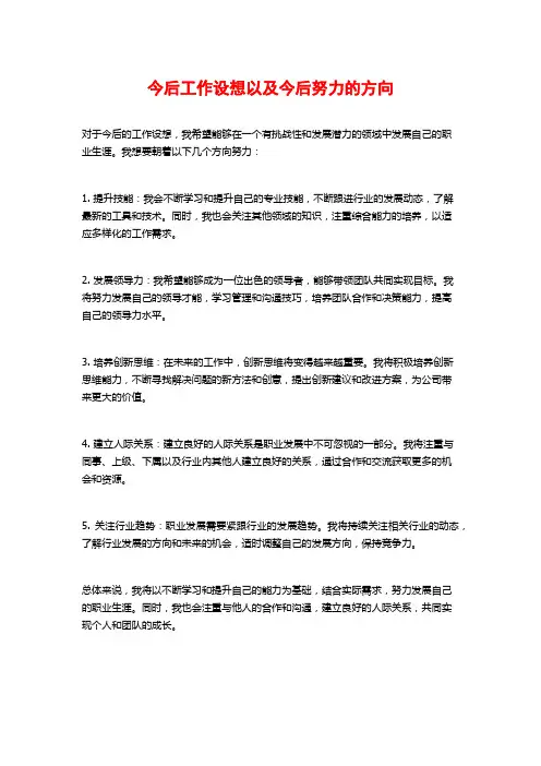 今后工作设想以及今后努力的方向