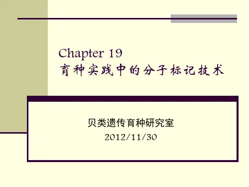 动物遗传育种Chapter 19 育种实践中的分子标记技术