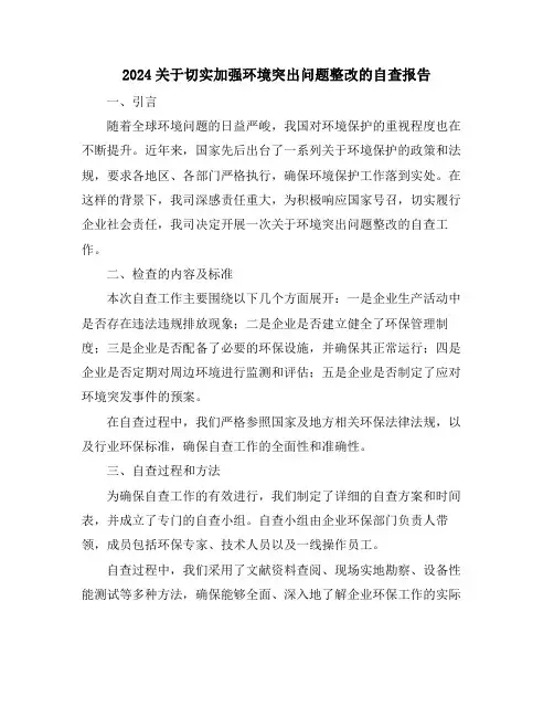 2024关于切实加强环境突出问题整改的自查报告
