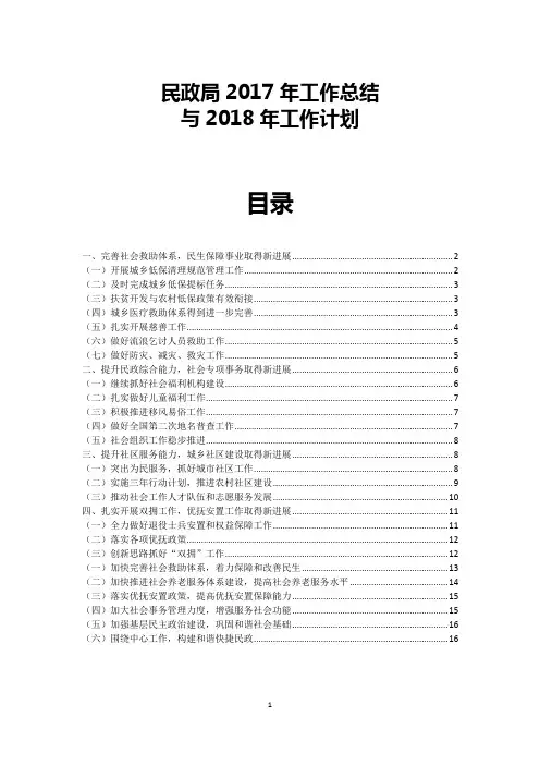 民政局2017年年终工作总结2018年新年规划计划报告