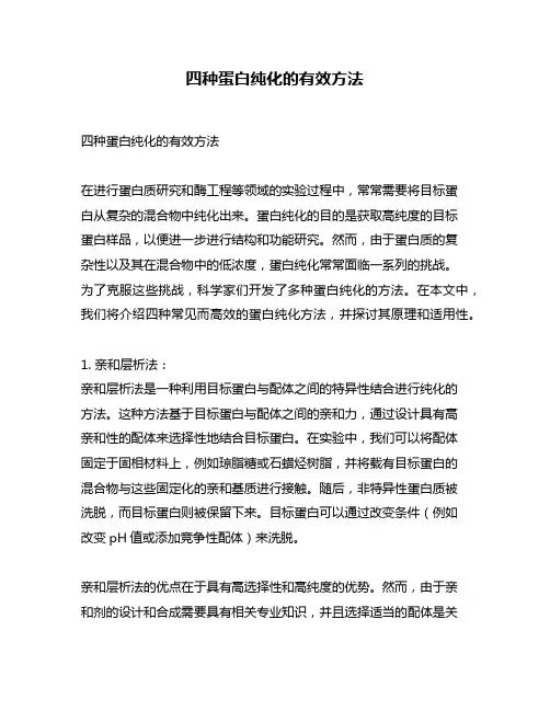 四种蛋白纯化的有效方法