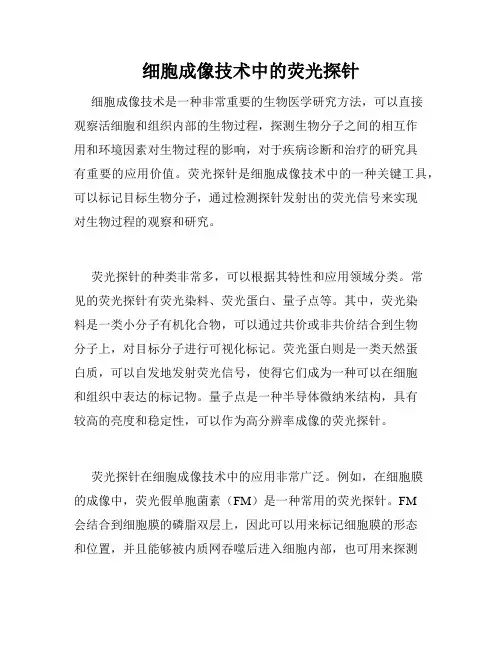 细胞成像技术中的荧光探针