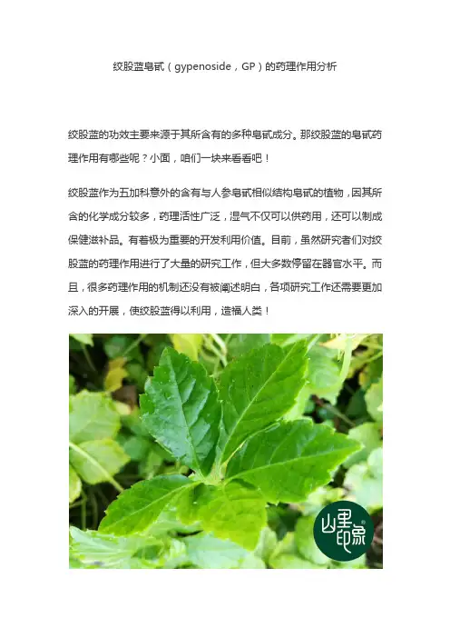 绞股蓝皂甙(gypenoside,GP)的药理作用分析